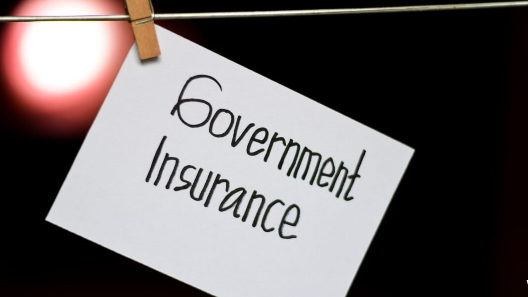 The Future of Government Backed Insurance Markets