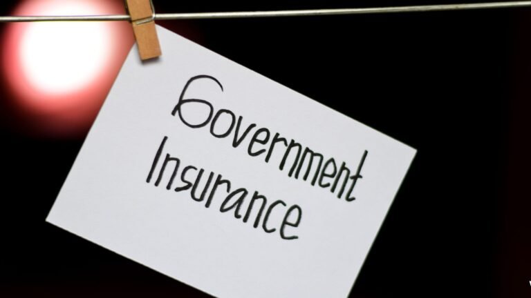 The Future of Government Backed Insurance Markets